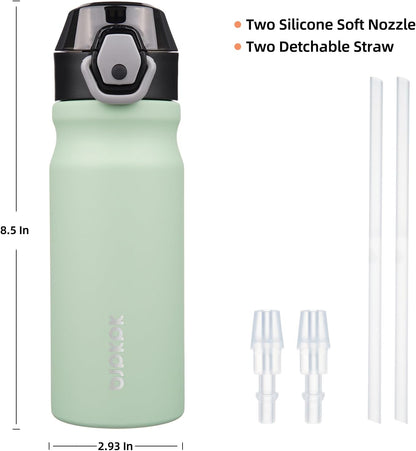 Stainless Steel Insulated Water Bottle with Straw Lid 18Oz Reusable Metal Thermos Bottles Keep Cold and Hot,Sage