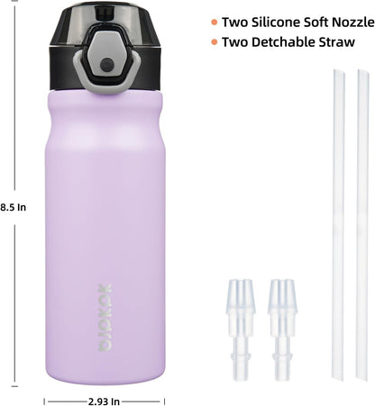 Water Bottle with Straw 18Oz Insulated Water Bottles Reusable Stainless Steel Metal Thermos with Leak Proof Lockable Lid and Carry Handle,Iceberg